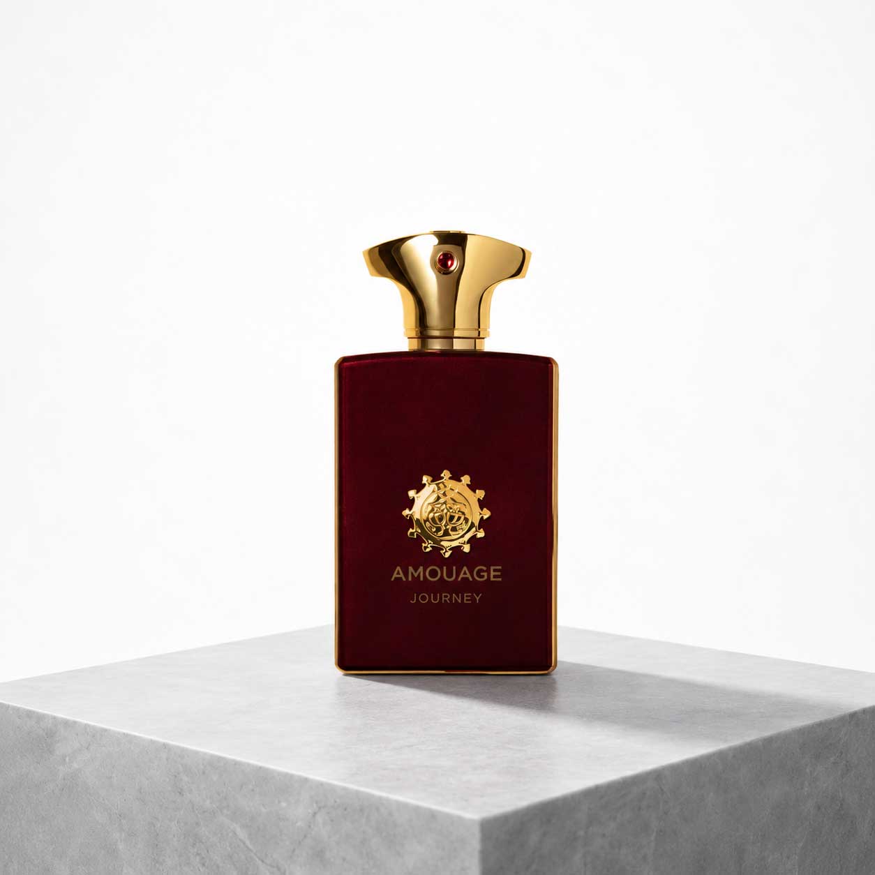 AMOUAGE - Journey for Men | امواج جورنی مردانه 